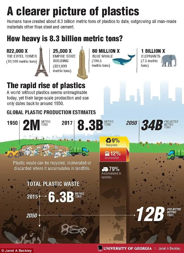 Plastic pollution infographic