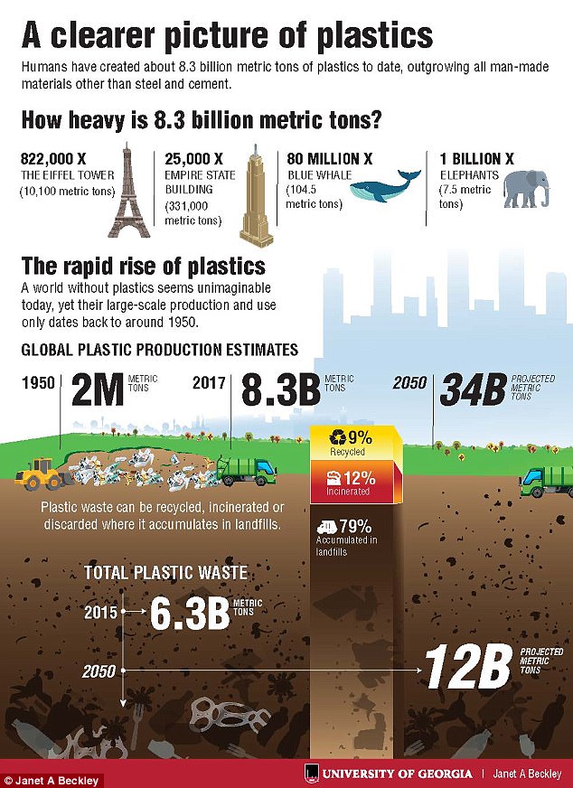 plastic pollution infographic